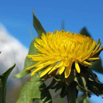 星空体育平台官网